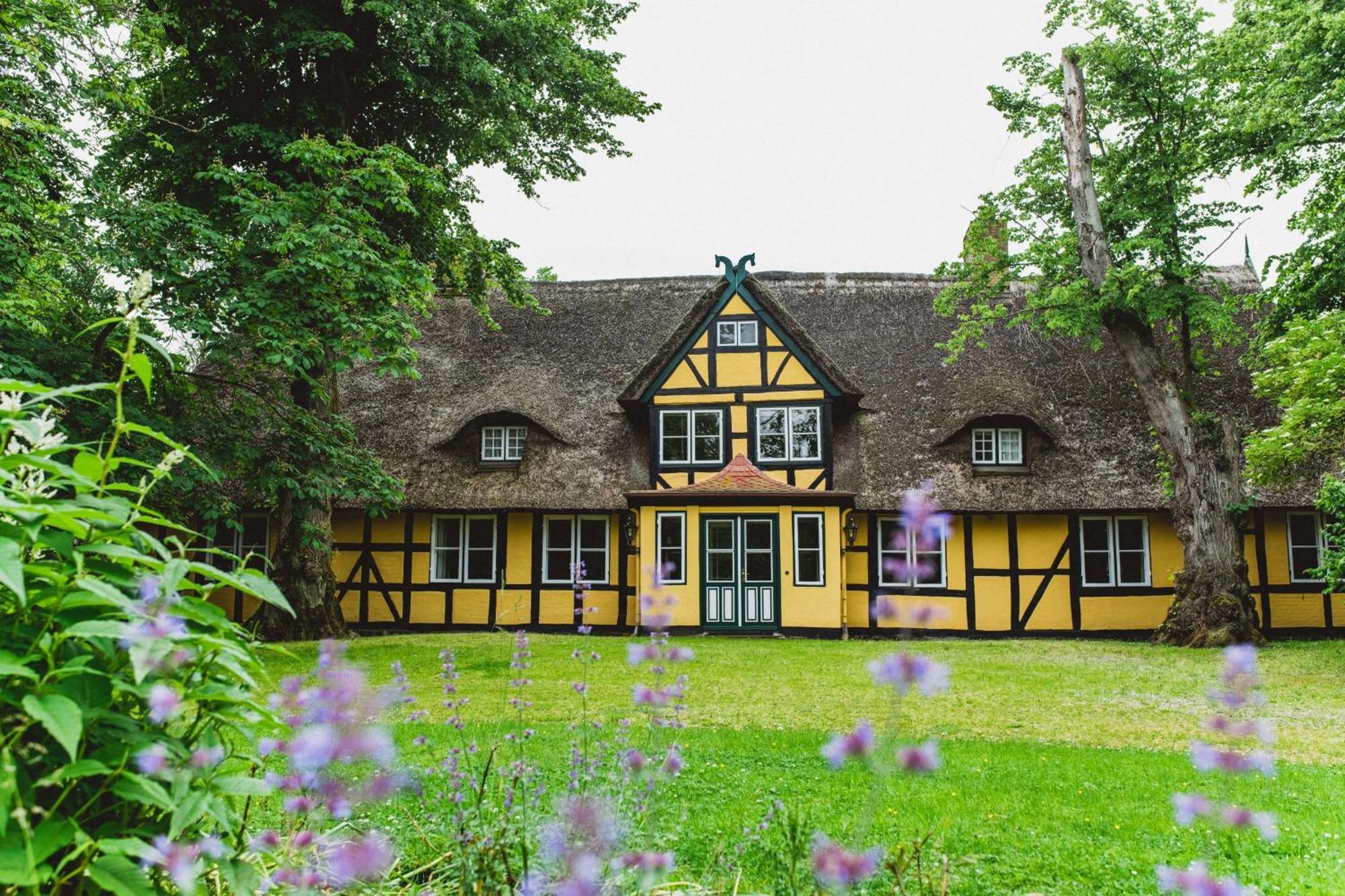 Herrenhaus Gut Dorotheenthal Damp Eksteriør billede